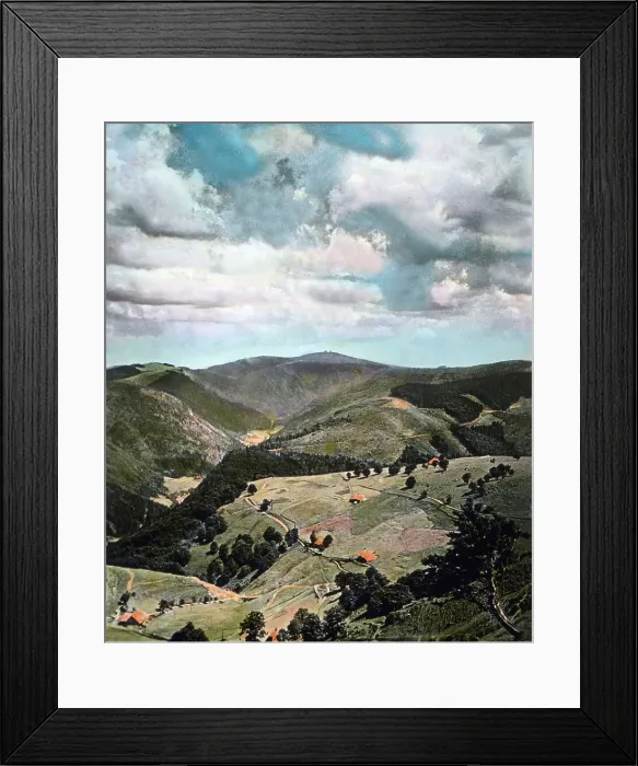 Framed Print : Schwarzwald Framed Print : Schwarzwald