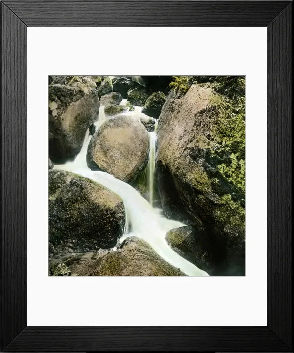 Framed Print : Schwarzwald