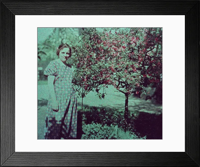 Framed Print : Köln. Frühe Farbaufnahme von einem Besuch in den Botanischen Gärten der Flora in Köln Framed Print : Köln. Frühe Farbaufnahme von einem Besuch in den Botanischen Gärten der Flora in Köln