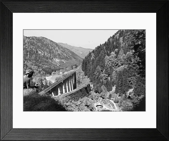 Framed Print : Schwarzwald Framed Print : Schwarzwald