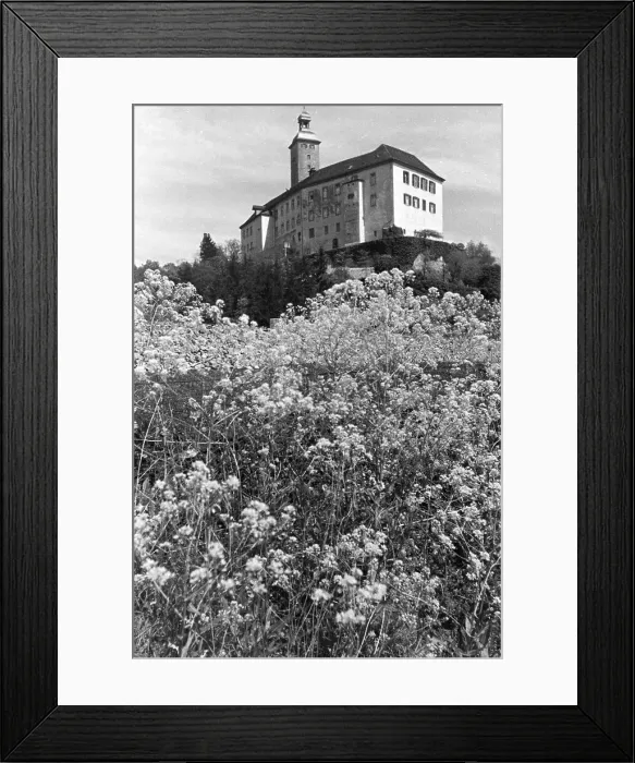 Framed Print : Homburg (Neckar), Gundelsheim, Wimpfen (Neckar) Framed Print : Homburg (Neckar), Gundelsheim, Wimpfen (Neckar)