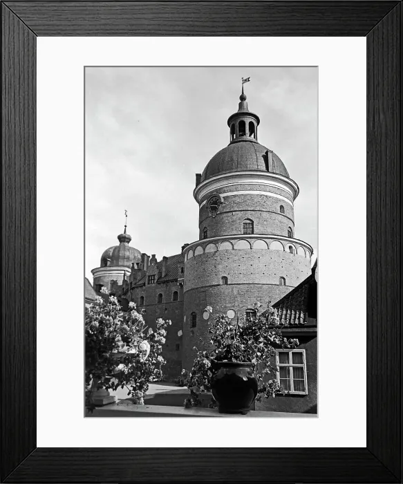 Framed Print : Zu Besuch in Mariefred Framed Print : Zu Besuch in Mariefred