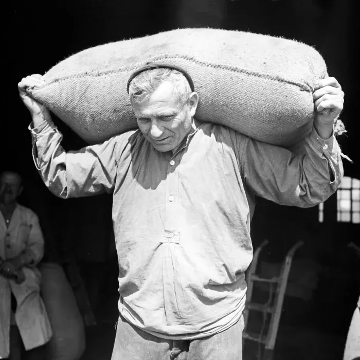 Stampa con cornice : Arbeiter. Un lavoratore del laghetto trascina una borsa fuori dal magazzino Stampa con cornice : Arbeiter. Un lavoratore del laghetto trascina una borsa fuori dal magazzino