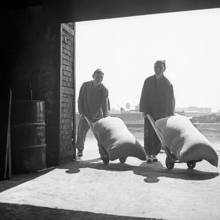 Framed Print : Arbeiter. Zwei Lagerarbeiter bewegt einen schweren Sack mit der Sackkarre ins Lager Framed Print : Arbeiter. Zwei Lagerarbeiter bewegt einen schweren Sack mit der Sackkarre ins Lager