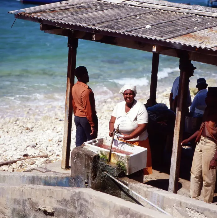 Gerahmter Druck : Barbados. Menschen im frühen Morgenstund am Fischmarkt in Bridgetown auf Barbodos Gerahmter Druck : Barbados. Menschen im frühen Morgenstund am Fischmarkt in Bridgetown auf Barbodos