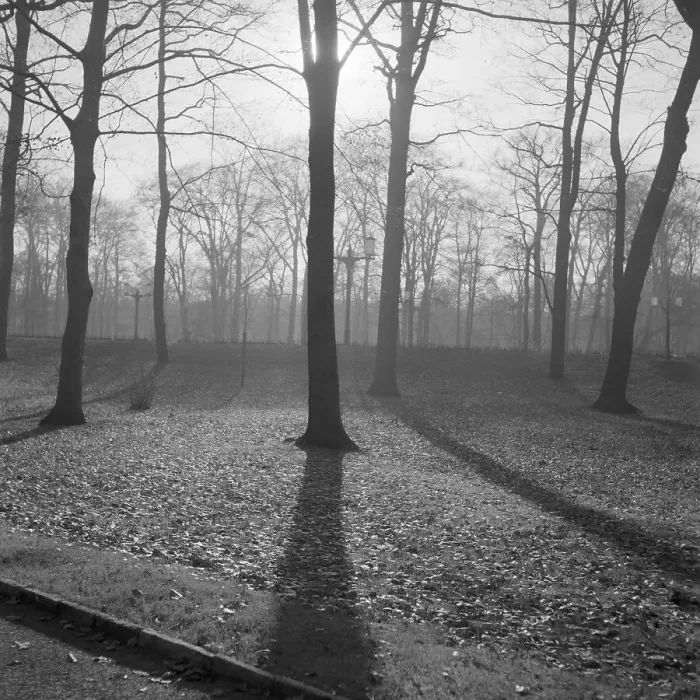 Impresión enmarcada : Berlin. Otoño en Berlín, Alemania décadas de 1930 Impresión enmarcada : Berlin. Otoño en Berlín, Alemania décadas de 1930