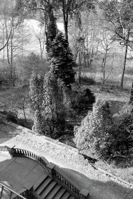 Stampa con cornice : Berlin. Casa nobiliare a Berlino, Germania 1963 Stampa con cornice : Berlin. Casa nobiliare a Berlino, Germania 1963