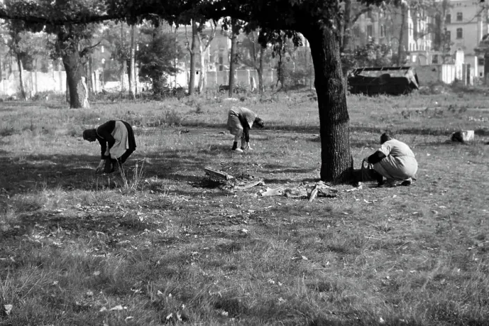 Impression encadrée : Berlin. Femmes collectant des noix d'épicier dans le jardin de la nouvelle Impression encadrée : Berlin. Femmes collectant des noix d'épicier dans le jardin de la nouvelle