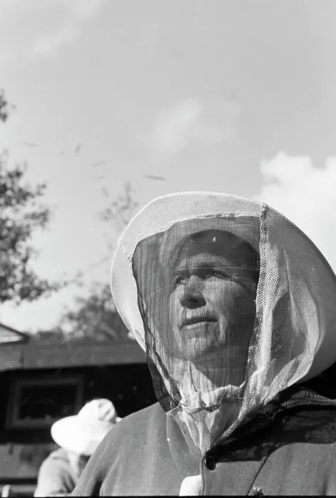 Framed Print : Bienengift