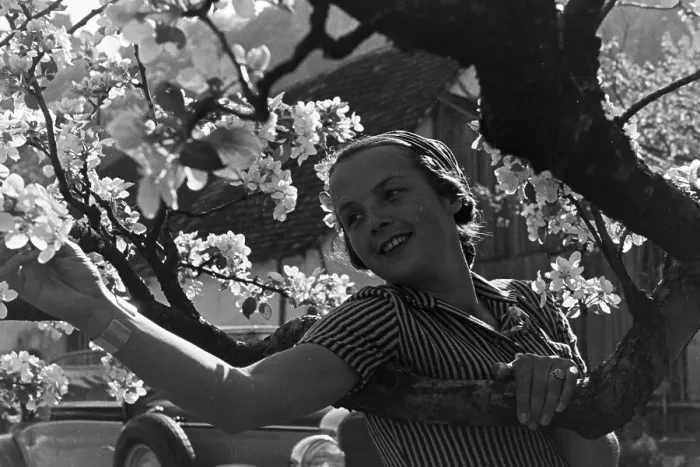 Impression encadrée : Blüte. Une jeune femme sous un arbre à pêches en fleur dans la forêt noire Impression encadrée : Blüte. Une jeune femme sous un arbre à pêches en fleur dans la forêt noire