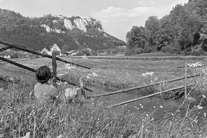 Gerahmter Druck : Blüte. Ein junges Mädchen sitscht im Gras der Weide an einem kleinen Bache im Schwarzwald