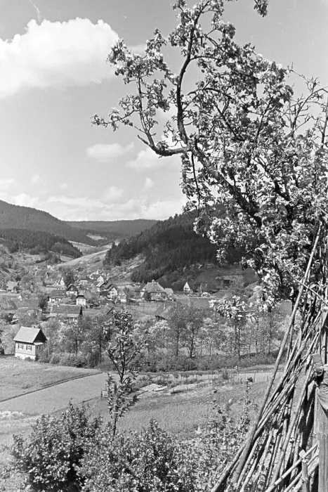Gerahmter Druck : Blüte. Ein kleines Dorf in einem Tal des Schwarzwaldes, Deutschland der 1930er Jahre Gerahmter Druck : Blüte. Ein kleines Dorf in einem Tal des Schwarzwaldes, Deutschland der 1930er Jahre