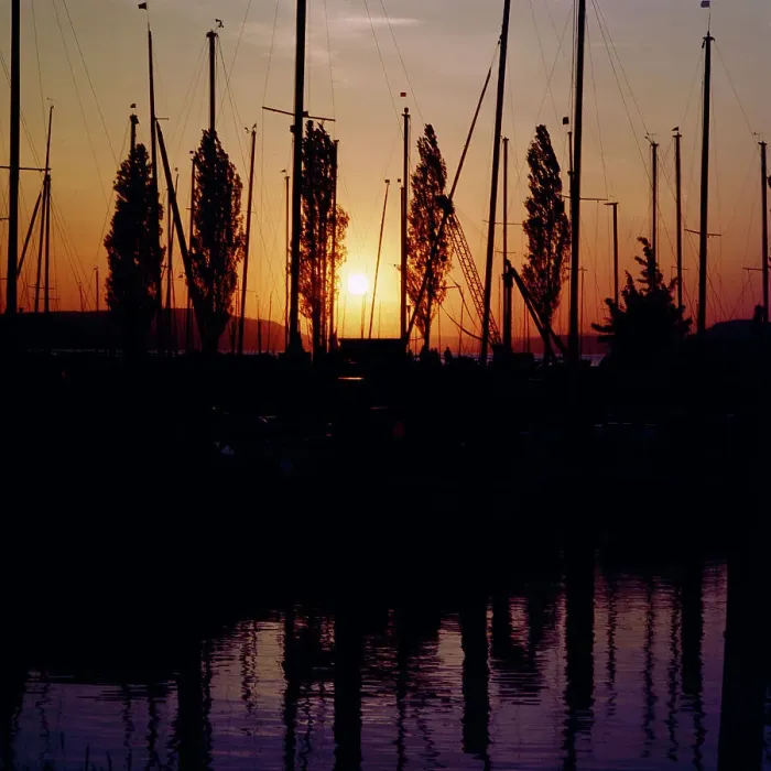 Stampa con cornice : Bodensee. Sonne sottosoglio al lago di Bogenza, Baden-Württemberg nel 1983 Stampa con cornice : Bodensee. Sonne sottosoglio al lago di Bogenza, Baden-Württemberg nel 1983