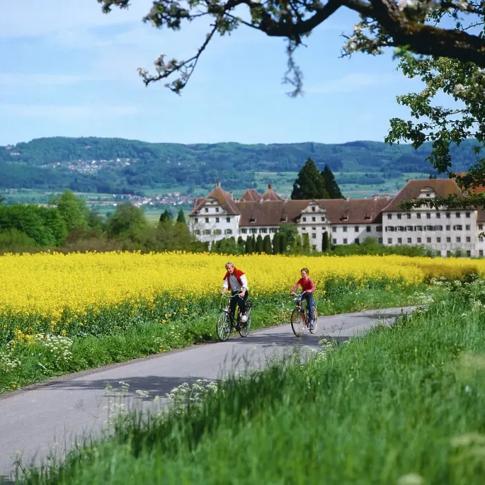 Impression encadrée : Bodensee. Cyclistes devant le couvent et château de Salem, en Bade-Wurtemberg, en 1983