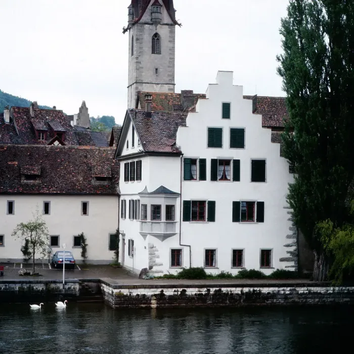 Gerahmter Druck : Bodensee. Schwäne vor dem ehemaligen Benediktinerkloster St