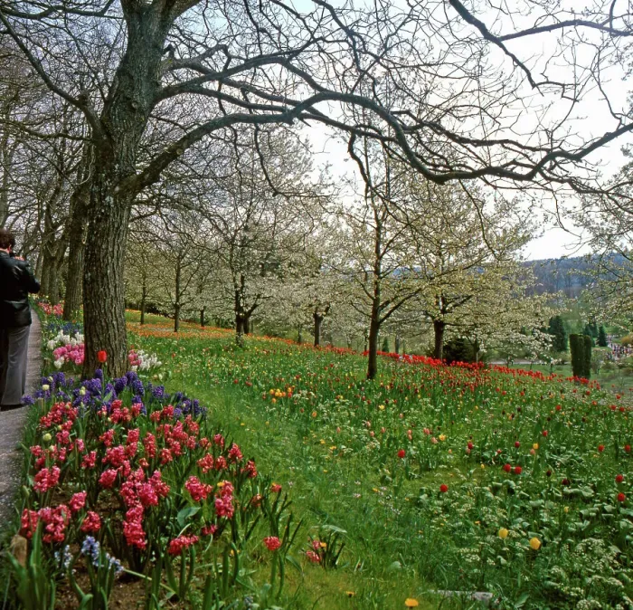 Gerahmter Druck : Bodensee. Reisen zur Schweizersee in Deutschland der Achtzigerjahren Gerahmter Druck : Bodensee. Reisen zur Schweizersee in Deutschland der Achtzigerjahren