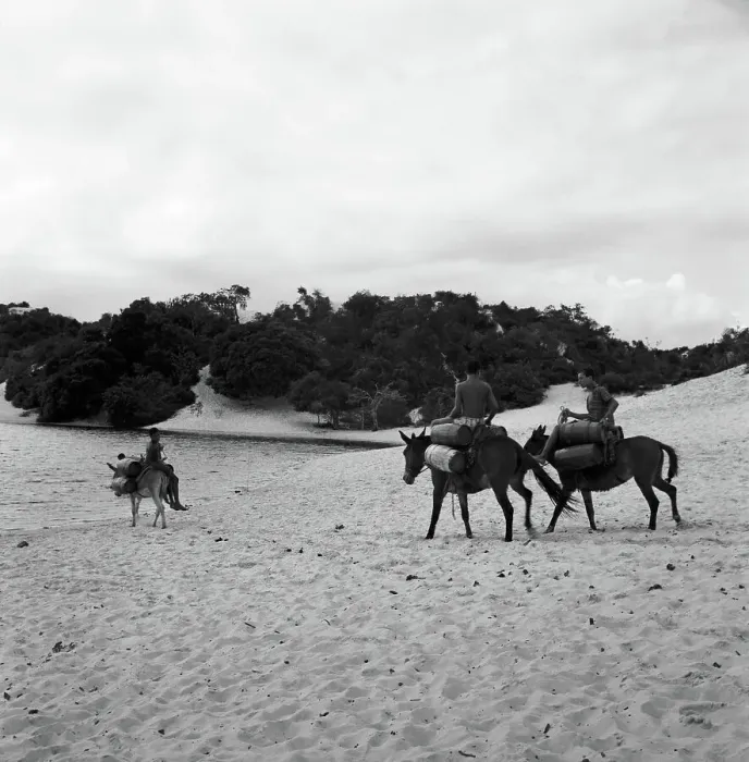Impresión enmarcada : Brasilien. En la Lagoa do Abaete cerca de Salvaror, Brasilia en los años sesenta Impresión enmarcada : Brasilien. En la Lagoa do Abaete cerca de Salvaror, Brasilia en los años sesenta