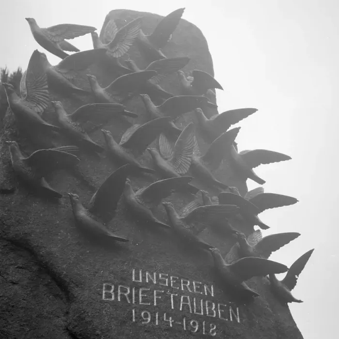 Stampa con cornice : Brieftauben