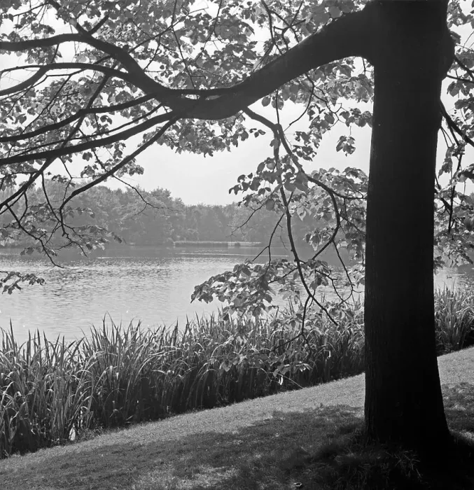Stampa con cornice : Chemnitz. Un parco a Chemnitz, Germania anni '30 Stampa con cornice : Chemnitz. Un parco a Chemnitz, Germania anni '30