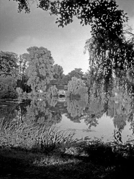 Stampa con cornice : Danzig. Paesaggio nella zona di Danzig-Mehlsack negli anni '30 Stampa con cornice : Danzig. Paesaggio nella zona di Danzig-Mehlsack negli anni '30