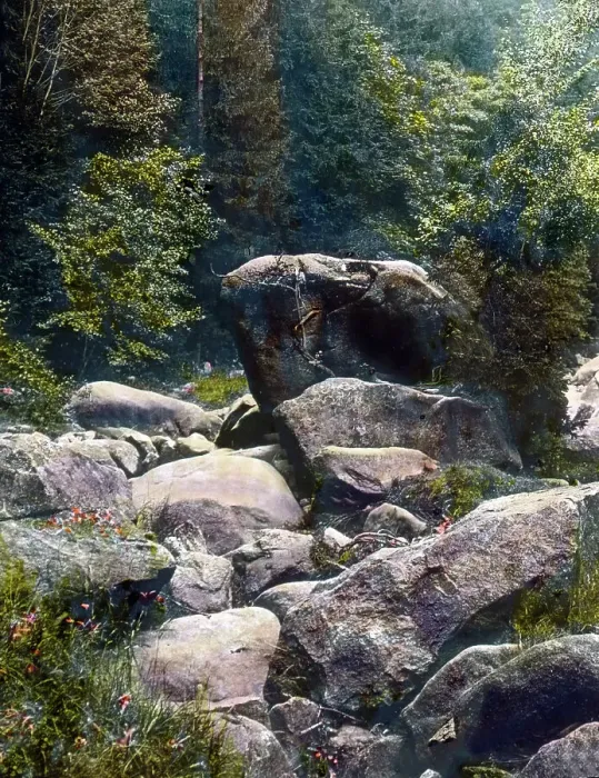 Gerahmter Druck : Der Harz. Der Felsen des Froschs im Okertal