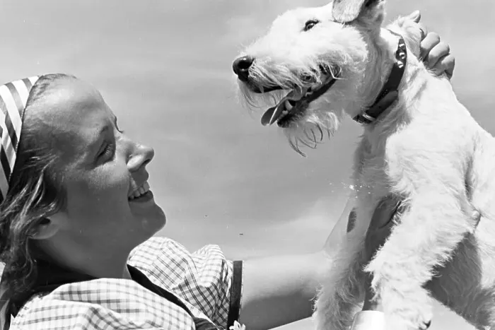 Impresión enmarcada : Electrola. Retrato de una joven mujer con su perro, Alemania décadas de 1930 Impresión enmarcada : Electrola. Retrato de una joven mujer con su perro, Alemania décadas de 1930