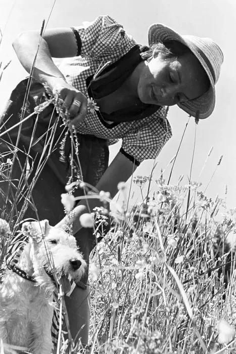 Gerahmter Druck : Electrola. Porträt einer jungen Frau mit ihrem Hund, Deutschland der 1930er Jahre Gerahmter Druck : Electrola. Porträt einer jungen Frau mit ihrem Hund, Deutschland der 1930er Jahre