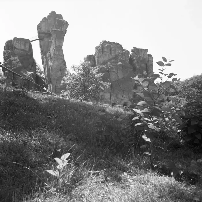 Gerahmter Druck : Externsteine