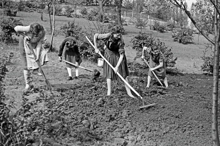 Impresión enmarcada : Niñas realizando trabajo agrícola cerca de Frankfurt del Oder, Alemania 1948. Impresión enmarcada : Niñas realizando trabajo agrícola cerca de Frankfurt del Oder, Alemania 1948.