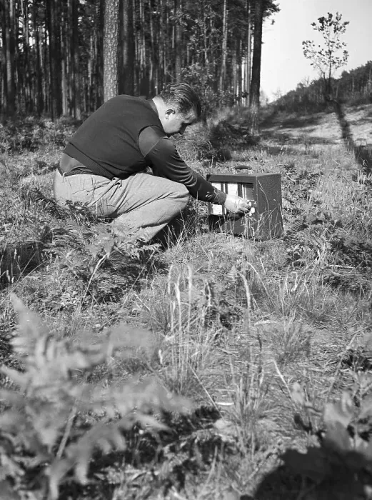 Framed Print : Freizeit. Ein junger Mann hoert im Wald Radio und liest dabei seine Zeitung Framed Print : Freizeit. Ein junger Mann hoert im Wald Radio und liest dabei seine Zeitung
