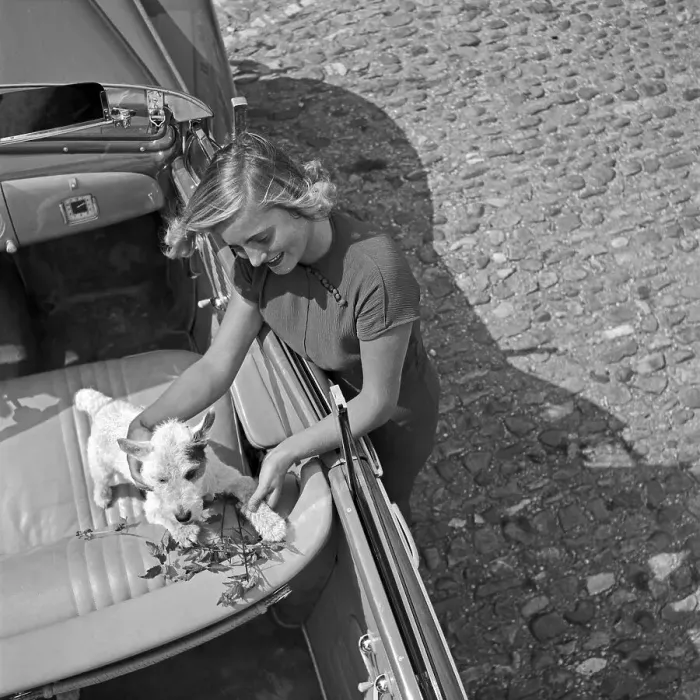 Impression encadrée : Freizeit. Une jeune femme joue avec un chien dans une voiture ouverte en Impression encadrée : Freizeit. Une jeune femme joue avec un chien dans une voiture ouverte en