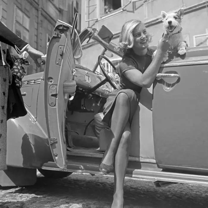Stampa con cornice : Freizeit. Una giovane donna e un piccolo Fox Terrier scendono da una cabina aperta Stampa con cornice : Freizeit. Una giovane donna e un piccolo Fox Terrier scendono da una cabina aperta