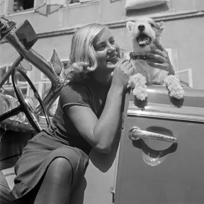 Impression encadrée : Freizeit. Une jeune femme et un petit chien de terre d'australiane sortent Impression encadrée : Freizeit. Une jeune femme et un petit chien de terre d'australiane sortent