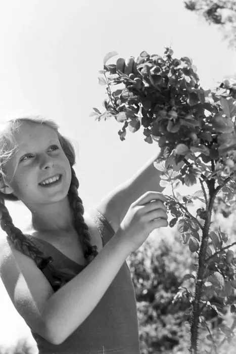 Stampa con cornice : Garten. Una famiglia nel loro giardino, Germania anni '30 Stampa con cornice : Garten. Una famiglia nel loro giardino, Germania anni '30