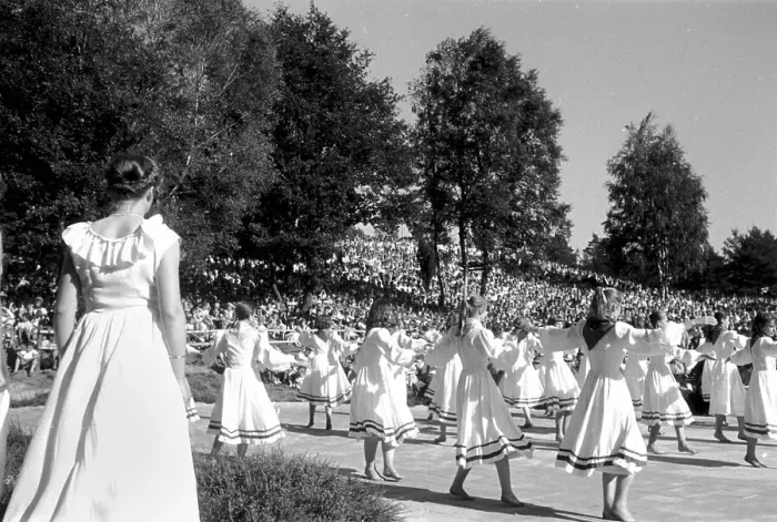 Stampa con cornice : Germany. Germania - Scena di danze popolari alla festa del fieno a Schneverdingen