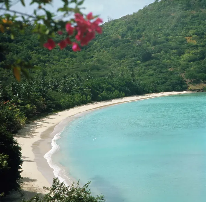 Stampa con cornice : Grenada. Una visita a Granata negli anni '80
