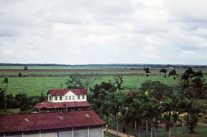 Impresión enmarcada : Guyana. Fábrica de azúcar y campos de caña en Marienburg, Guayana (decadas de 1960) Impresión enmarcada : Guyana. Fábrica de azúcar y campos de caña en Marienburg, Guayana (decadas de 1960)