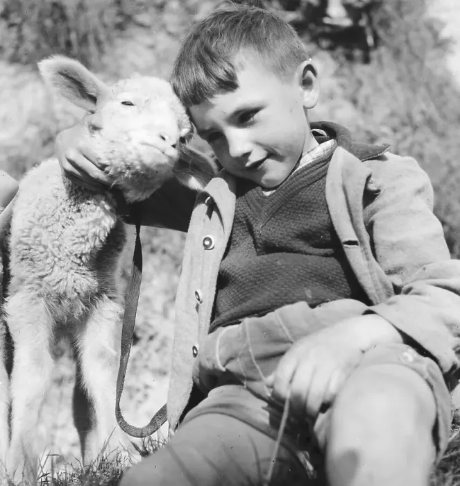 Stampa con cornice : Kinder. Bambino piccolo con un agnello, Germania anni '30 Stampa con cornice : Kinder. Bambino piccolo con un agnello, Germania anni '30