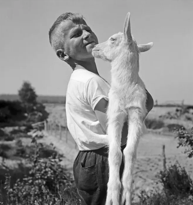 Impression encadrée : Kinder. Petit enfant avec un agneau en Allemagne dans les années 1930 Impression encadrée : Kinder. Petit enfant avec un agneau en Allemagne dans les années 1930