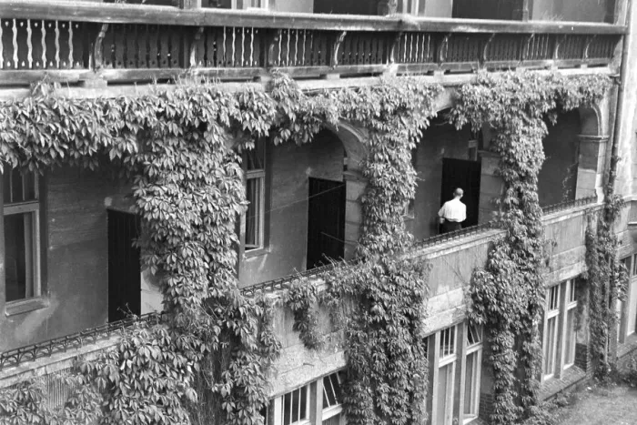 Stampa con cornice : Kinder. Scenes dalla fanciullezza nel Terzo Reich tedesco degli anni '30 Stampa con cornice : Kinder. Scenes dalla fanciullezza nel Terzo Reich tedesco degli anni '30