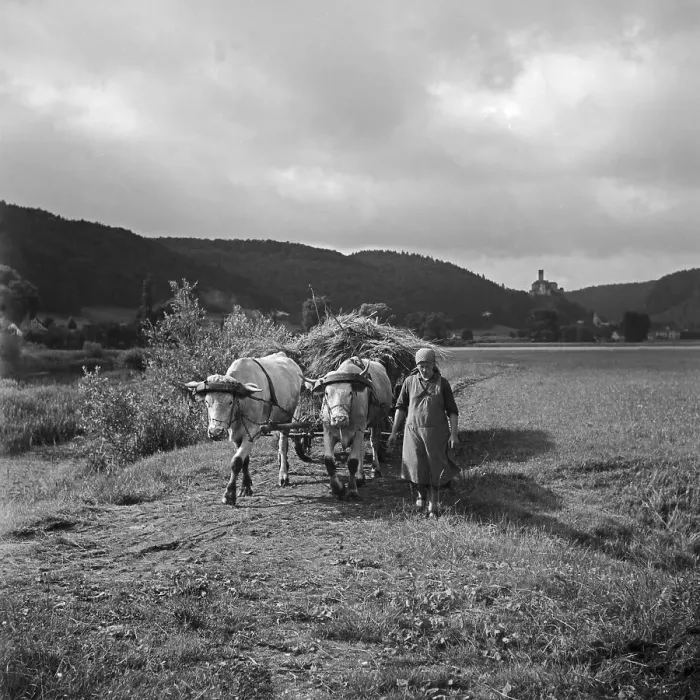 Gerahmter Druck : Kipfenberg