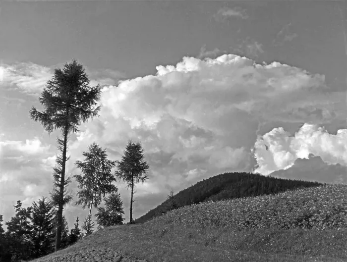 Impression encadrée : Landschaft