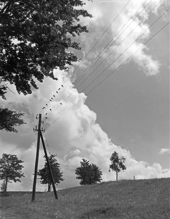 Gerahmter Druck : Landschaft Gerahmter Druck : Landschaft