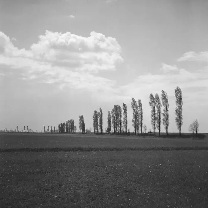 Impression encadrée : Landschaft Impression encadrée : Landschaft