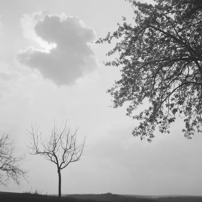 Framed Print : Landschaft Framed Print : Landschaft