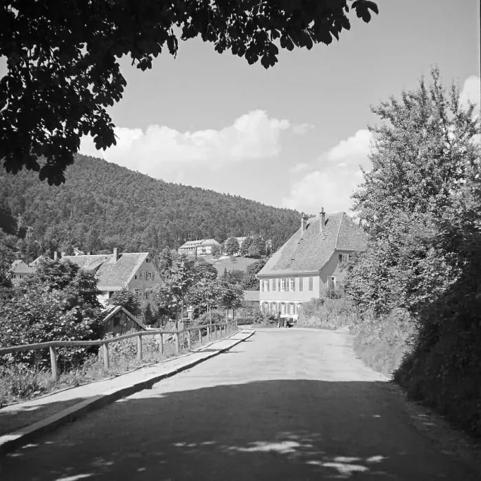 Gerahmter Druck : Landschaft Gerahmter Druck : Landschaft
