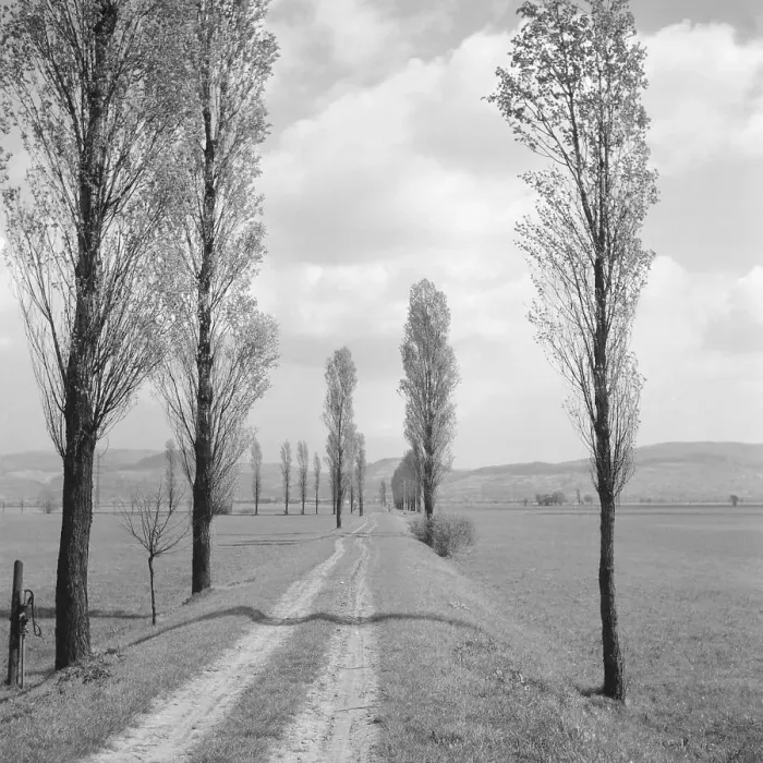 Framed Print : Landschaft Framed Print : Landschaft