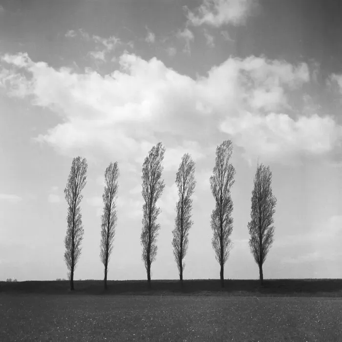 Stampa con cornice : Landschaft