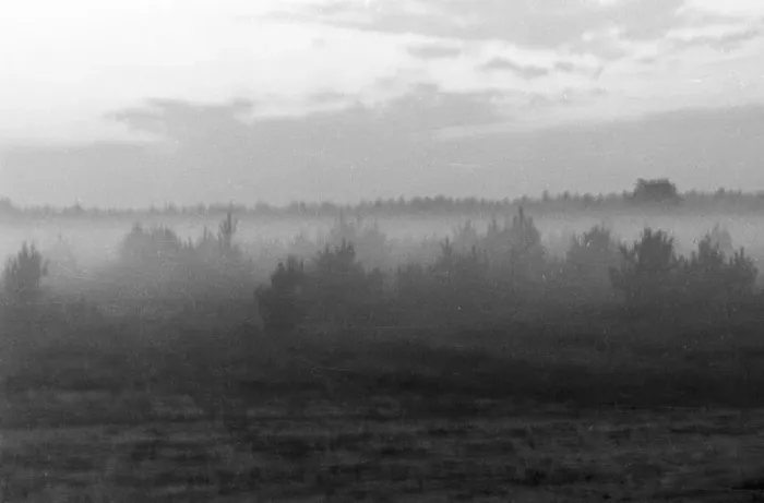 Impression encadrée : Landschaft Impression encadrée : Landschaft