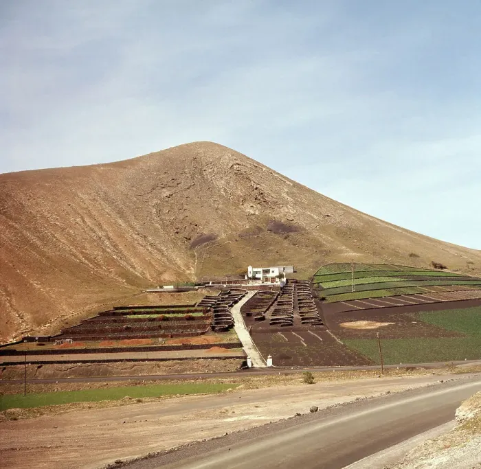 Stampa con cornice : Lanzarote. Pianelle di terra sulle isole Canarie di Lanzarote, Spagna anni '80 Stampa con cornice : Lanzarote. Pianelle di terra sulle isole Canarie di Lanzarote, Spagna anni '80